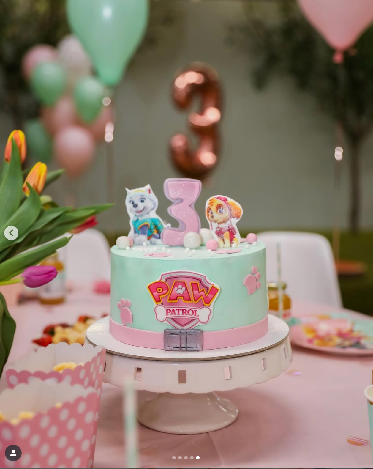 Tortas SKYE IR EVEREST